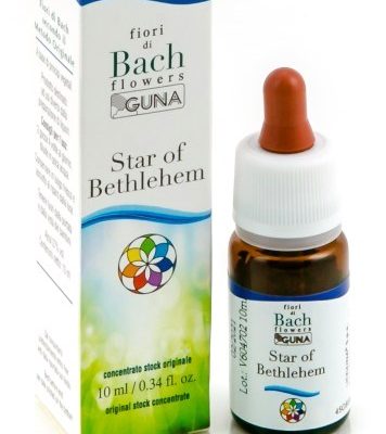STAR OF BETH GUN GTT 10ML