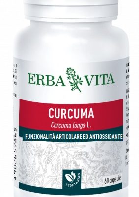 CURCUMA 60CPS 450MG