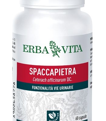 SPACCAPIETRA 60CPS 300MG