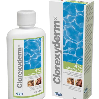 CLOREXYDERM SH 4% 250ML