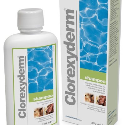 CLOREXYDERM SHAMPOO 250ML