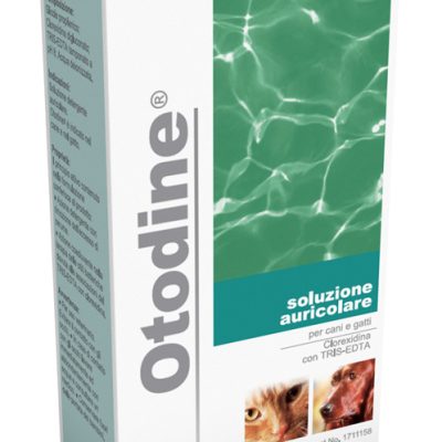 OTODINE DET LIQ 100ML