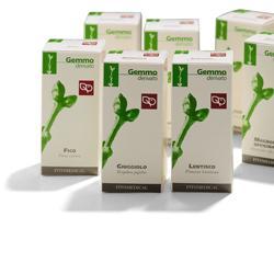 GINKGO BILOBA MG 100ML
