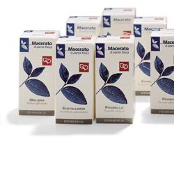 EQUISETO TM 200ML