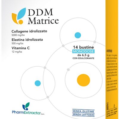 DDM MATRICE 14BUST