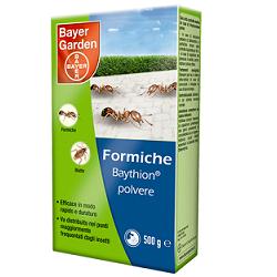 BAYTHION FORMICHE POLV