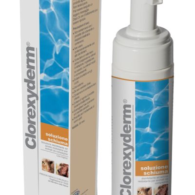 CLOREXYDERM SOL SCH 200ML