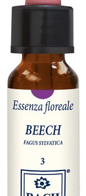 BEECH ORIGINAL 10ML GTT