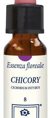 CHICORY ORIGINAL 10ML GTT