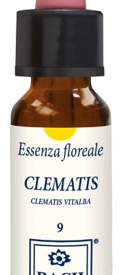 CLEMATIS ORIGINAL 10ML GTT