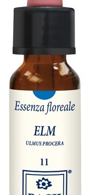 ELM ORIGINAL 10ML GTT