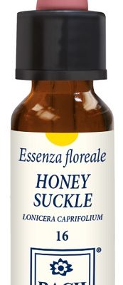 HONEYSUCKLE ORIGINAL 10ML GTT