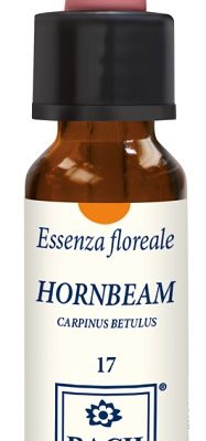 HORNBEAM ORIGINAL 10ML GTT