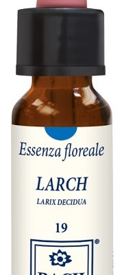 LARCH ORIGINAL 10ML GTT