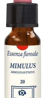 MIMULUS ORIGINAL 10ML GTT