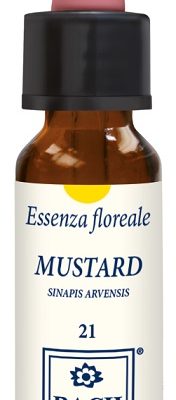 MUSTARD ORIGINAL 10ML GTT