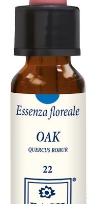 OAK ORIGINAL 10ML GTT