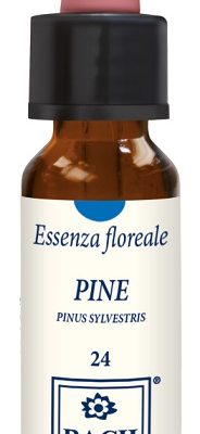 PINE ORIGINAL 10ML GTT