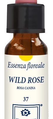 WILD ROSE ORIGINAL 10ML GTT