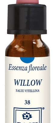 WILLOW ORIGINAL 10ML GTT