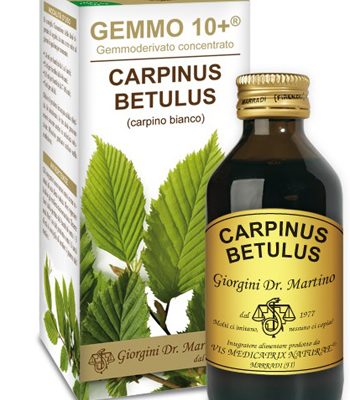 CARPINO BI 100ML ANALCO GEM10+