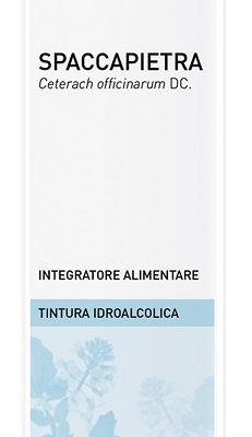 SPACCAPIETRA TINT IAL 50ML EBV