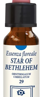 STAR OF BETHLEHEM 10ML GTT